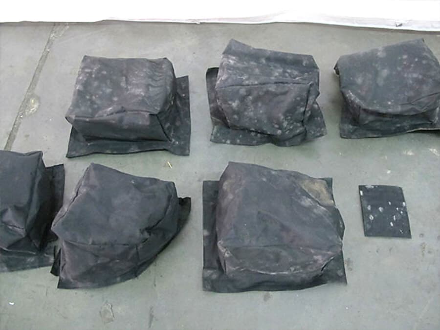 Transforming Challenges into Success: Innovative Mold Remediation for a Flight Simulator in Singapore project photo