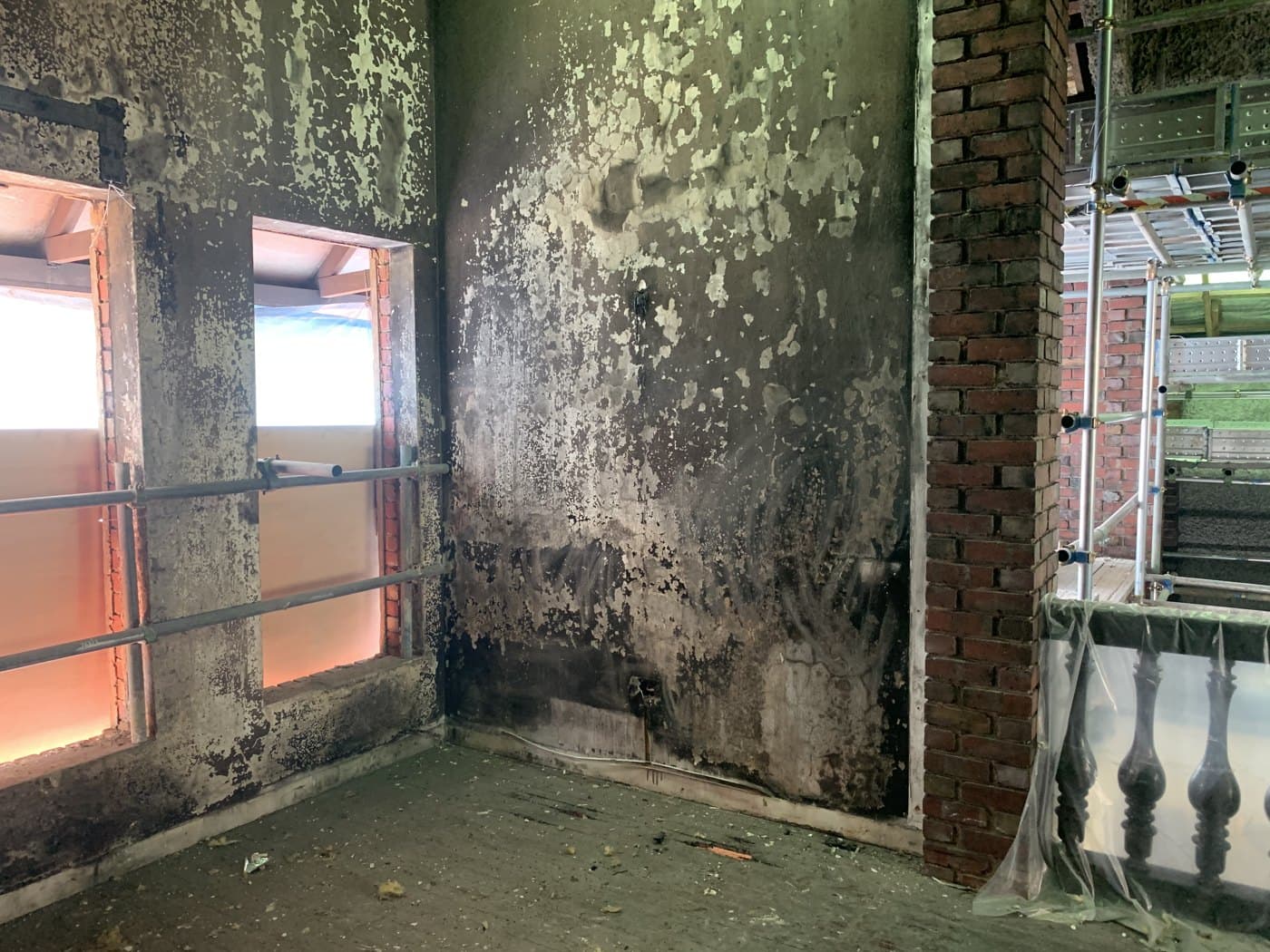 Indoor Mold and Fungus Elimination: DRS’s Comprehensive Remediation Approach project photo