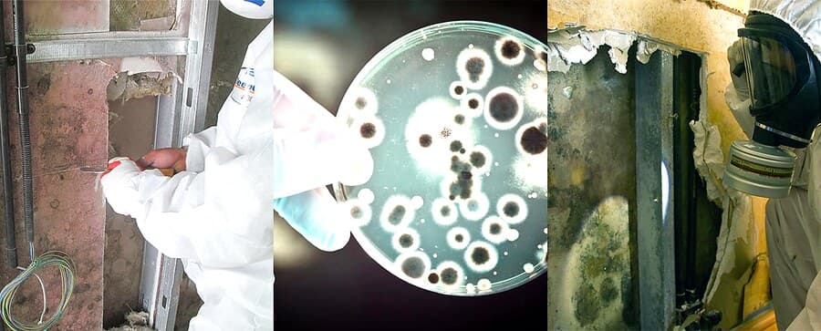 Mould remediation in progress
