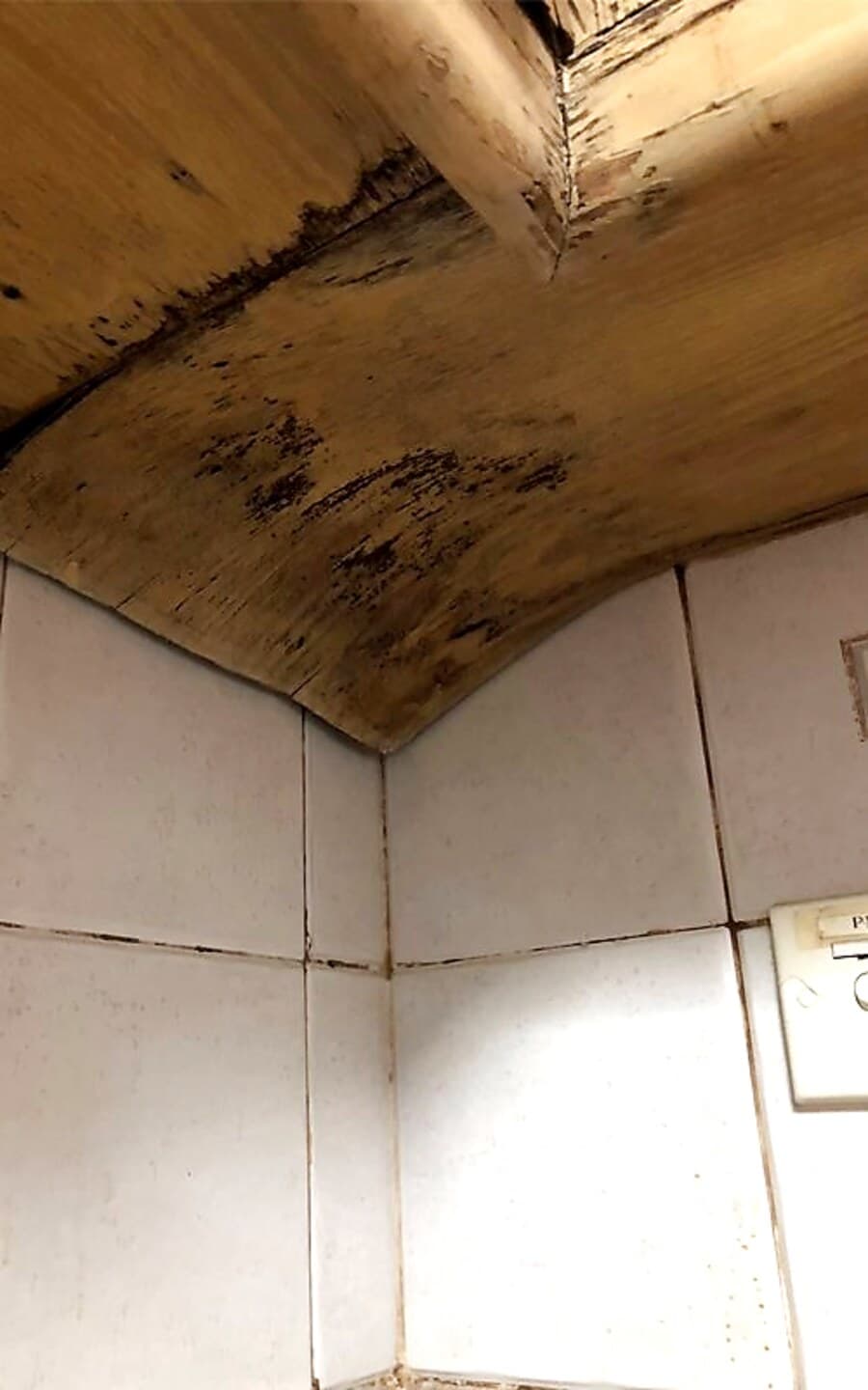 Residential mould removal
