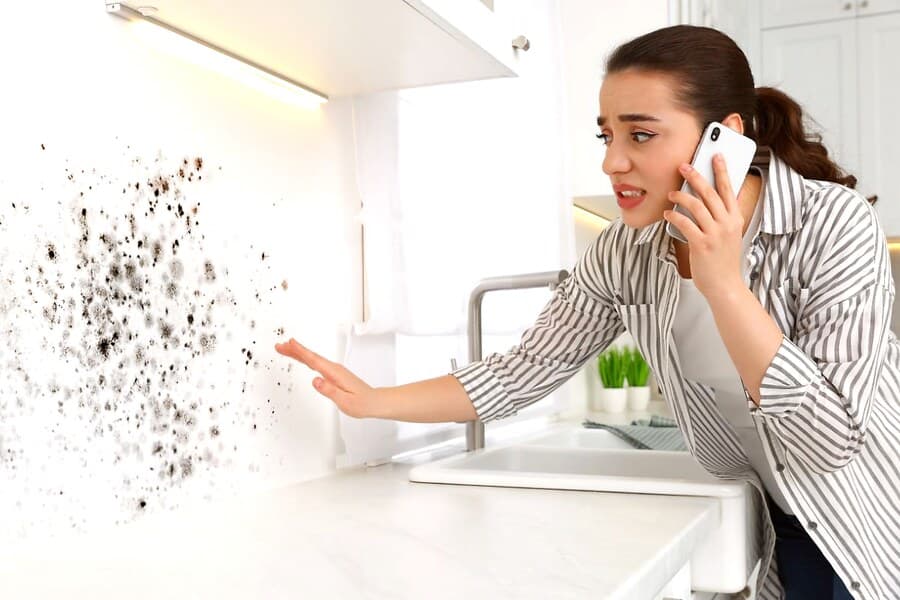 Identifying mould type