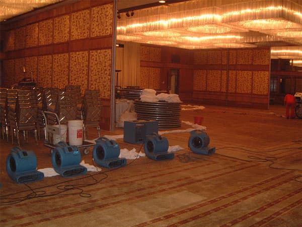 Rental of Dehumidifiers