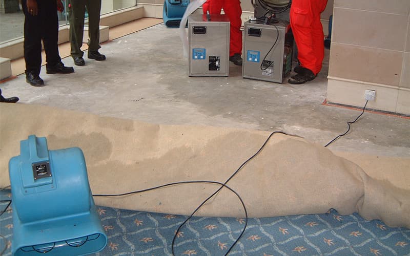 Water-Damaged Carpet Restoration project photo 2