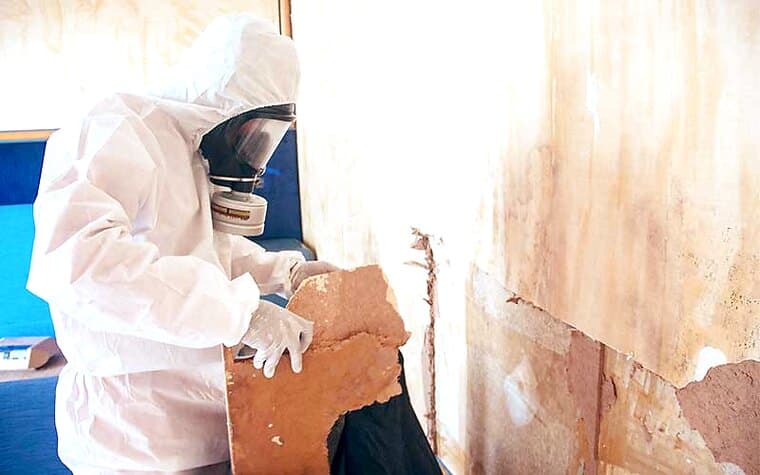 Disaster Recovery & Microbial Control in Medical Facilities photo