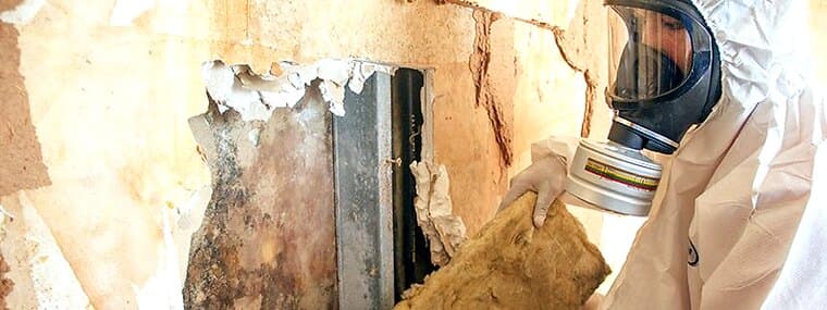 Disaster Restoration Singapore offers Mold Fungus – Bacteria Remediation for Workplace photo