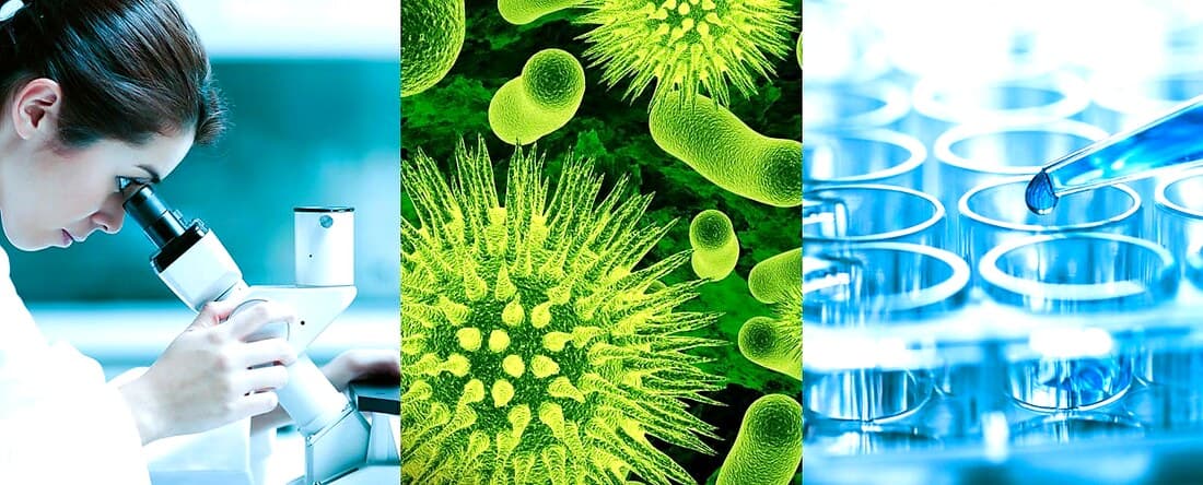 Eradicating Aspergillus Mold: Enhancing Indoor Environment Safety project photo