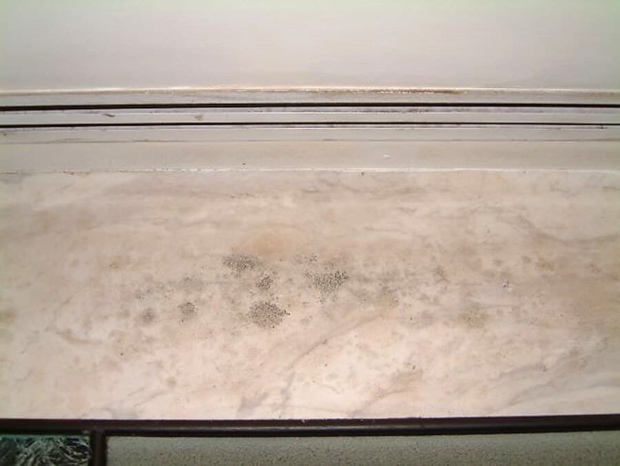 Aspergillus growth indoors