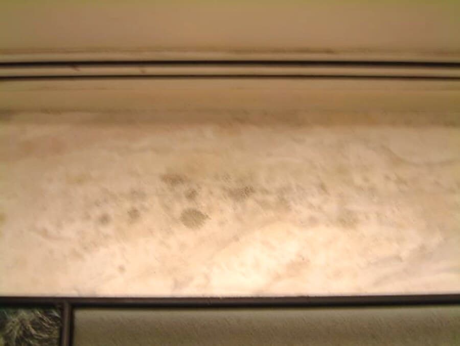 Health-impacting office mould