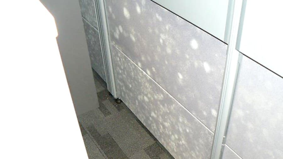 Mould on office walls