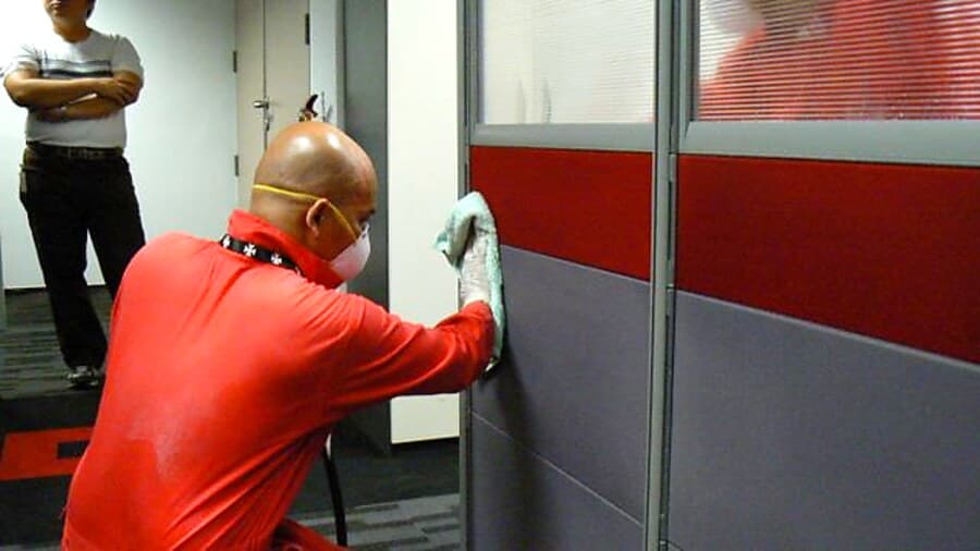Professional mould cleaning