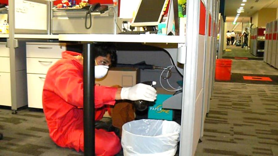 Removing mould spores