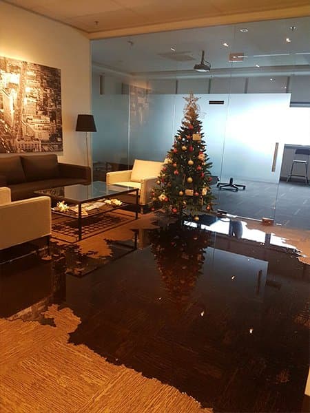 Commercial water damaged carpets project