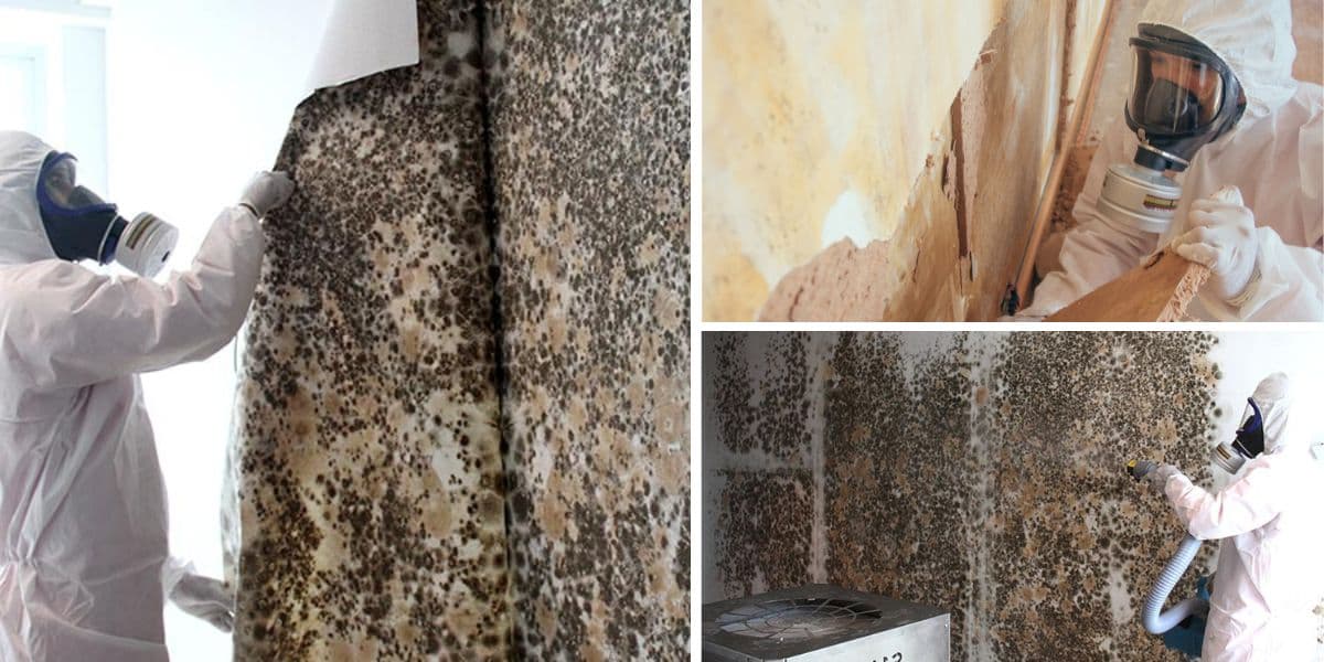 Mould Removal Singapore project photo