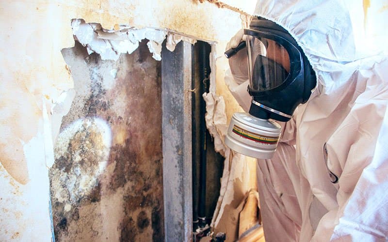 Mould Removal Singapore project photo 4