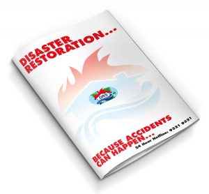 recover-your-operations-rapidly-brochure