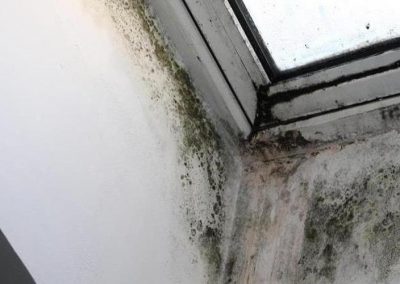 Mold infestation on a window in a residential home