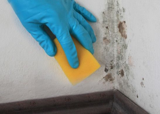 Cleaning Up Mold at Home after Flood