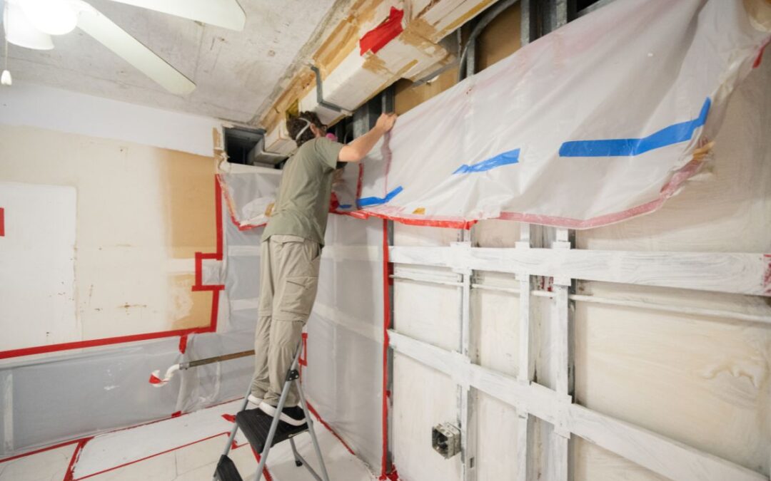 Expert Mold Remediation Guide for Homes and Offices in Singapore