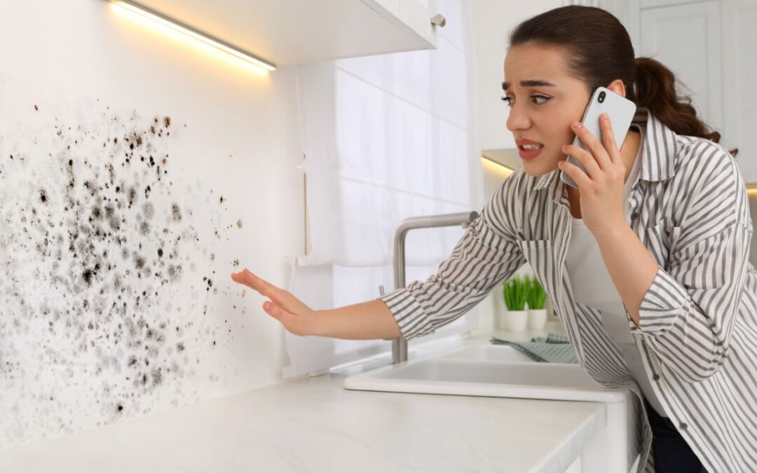 Identifying Mold in Your Properties: What to Look For