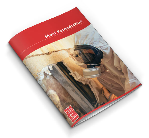 Mold Remediation Service Brochure