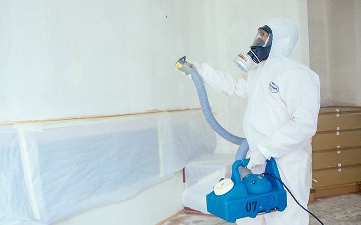 Mold Remediation Service by Disaster Restoration Singapore