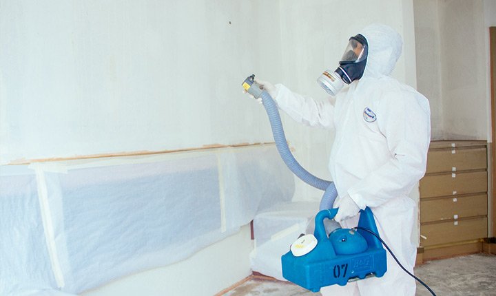 Mold Remediation Service by Disaster Restoration Singapore