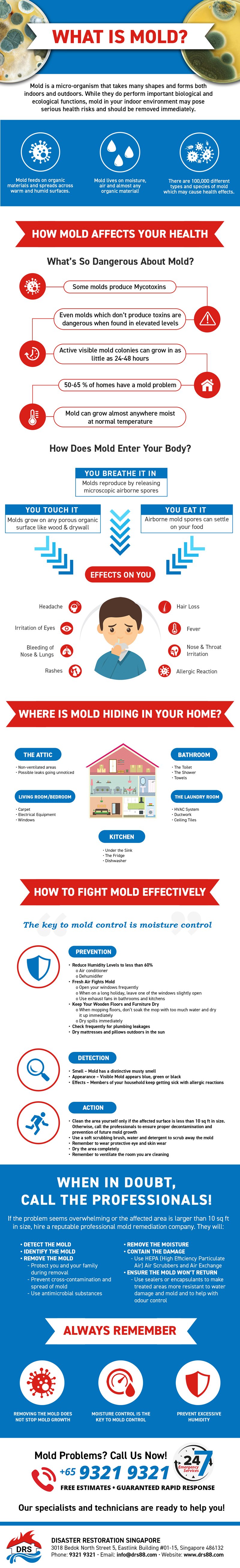 Infographic about Mold