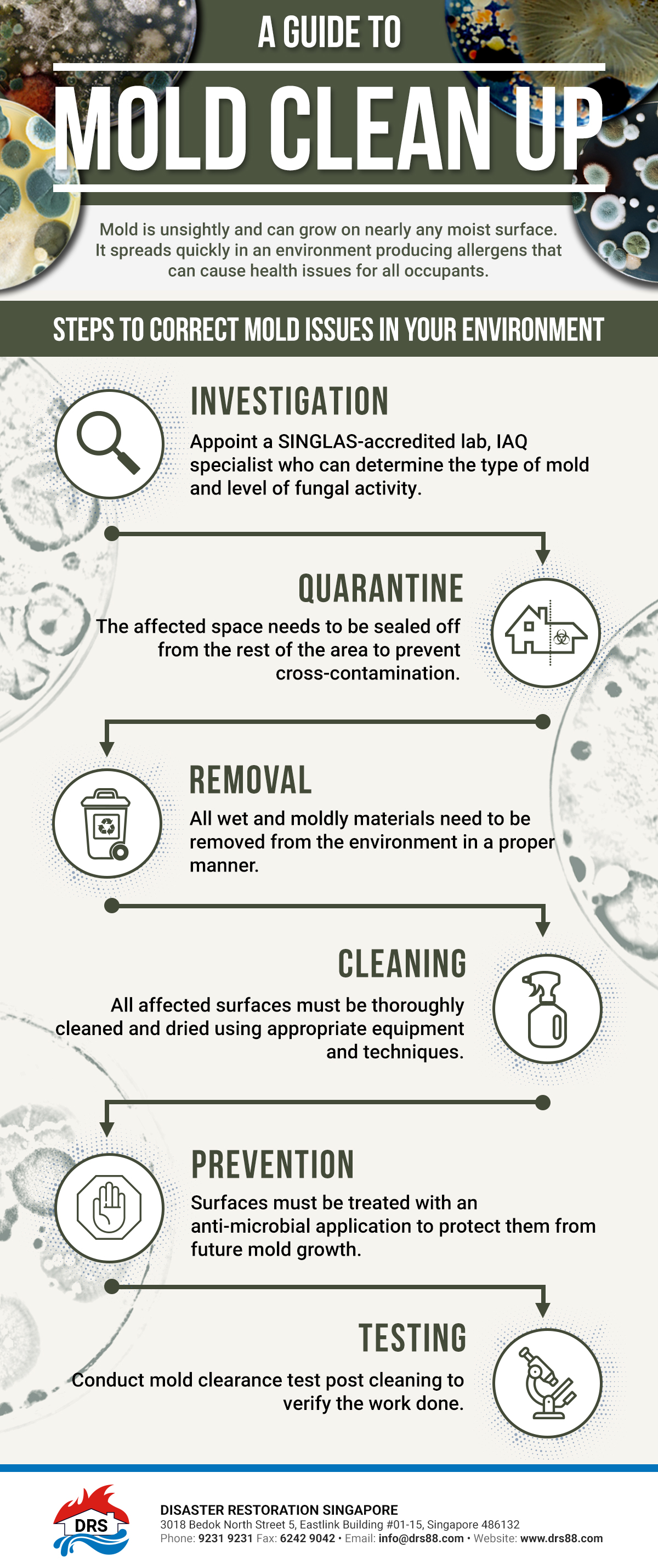 A Guide to Mold Clean Up Infographic