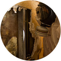 Mold Remediation