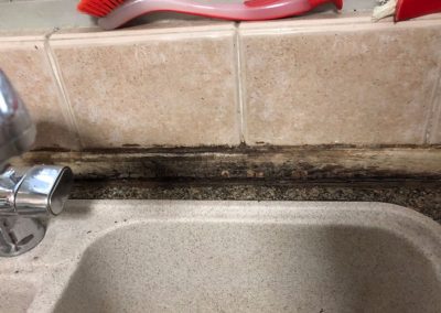 Mold Infestation on the kitchen sink