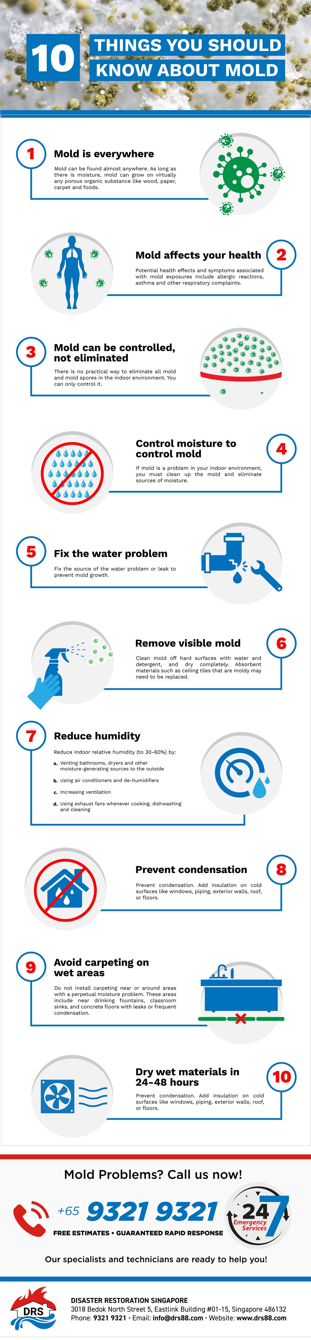 Mold Infographic Singapore - 10 Things You Should Know About Mold