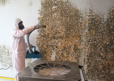 Process of Mold Removal & Remediation by Disaster Restoration Singapore