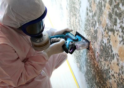 Inspection of Mold Contaminated Walls in a Hospital in Singapore