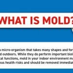What is Mold? - An Infographic